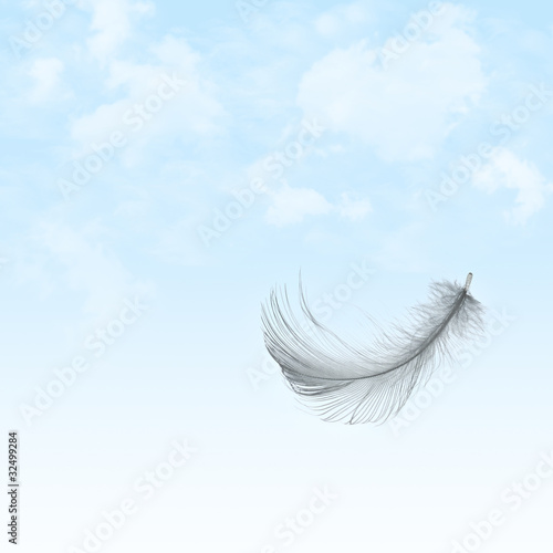 Photography Feather flying in cloudy sky