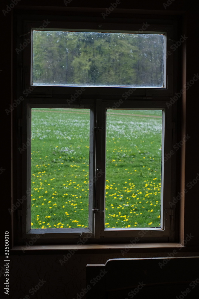 Fenster mit Blick auf eine grüne Wiese