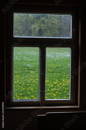 Fenster mit Blick auf eine gr  ne Wiese