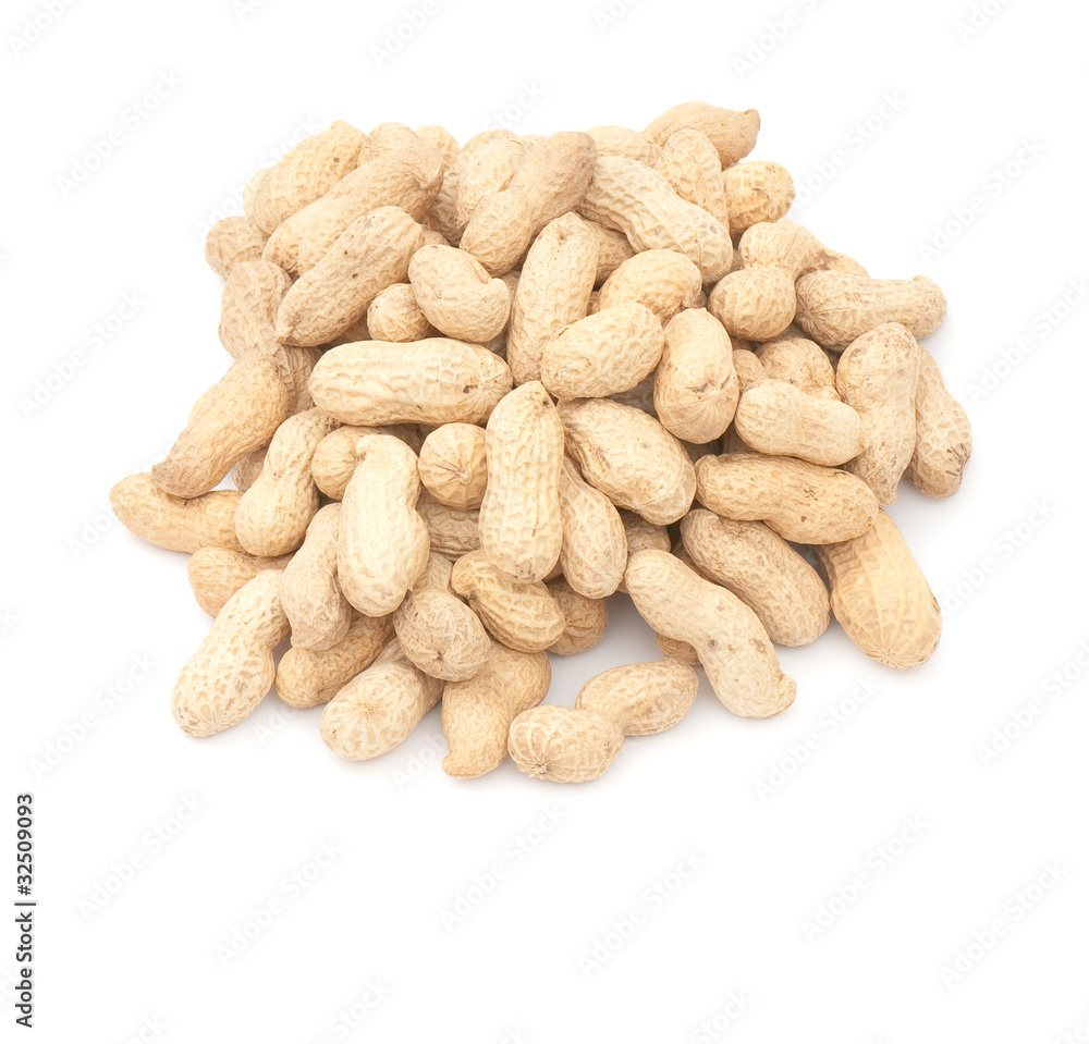 Peanut Peanut