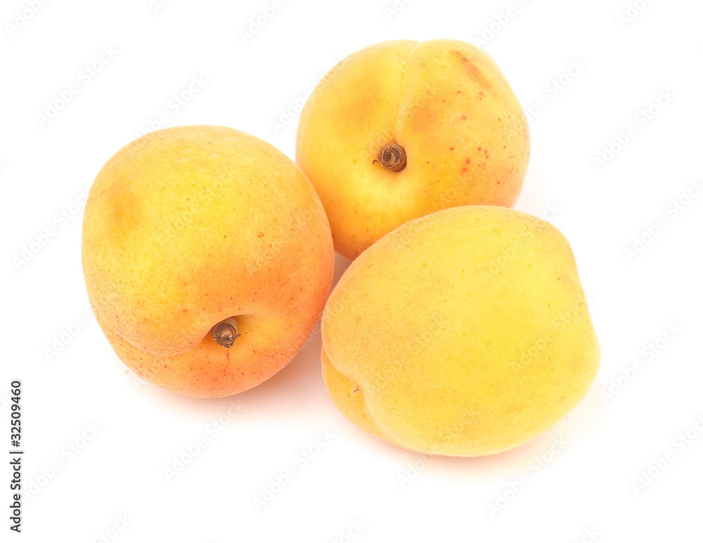 apricot