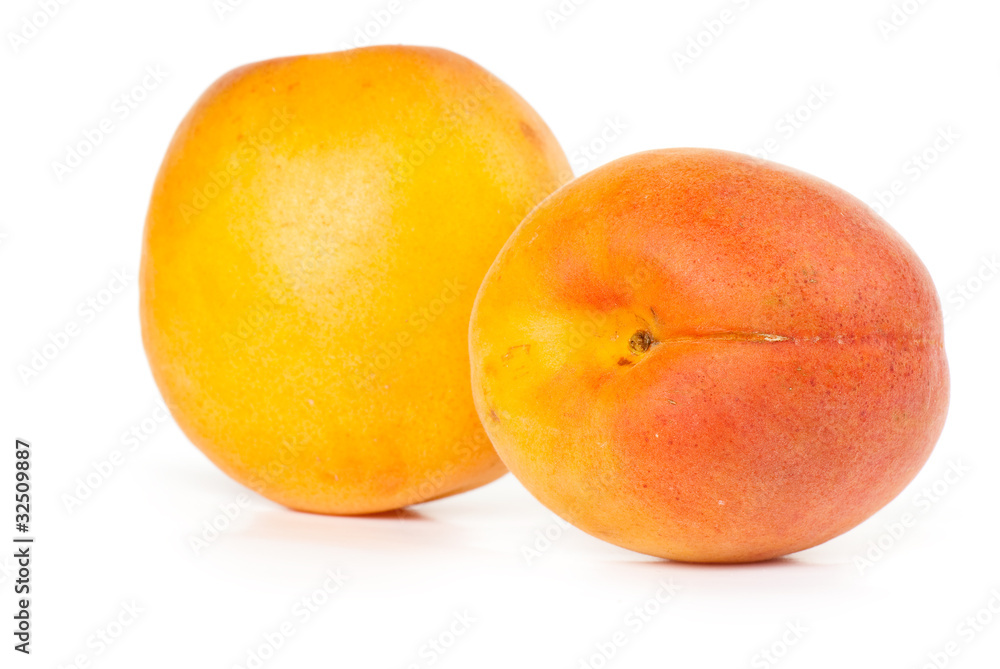 apricot apricot