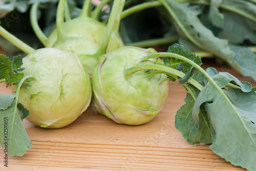 cabbage of kohlrabi