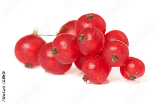 red currant