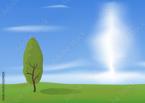 Tree in the field