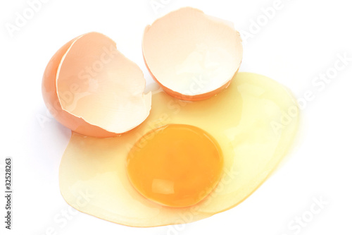 egg