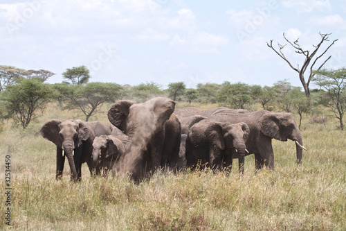 Angry African Elephants