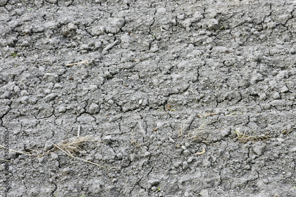 Naklejka premium Ausgetrockneter Boden