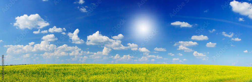 Charm rapefield and cloudscape with sunbeams. Charm rapefield and cloudscape with sunbeams.