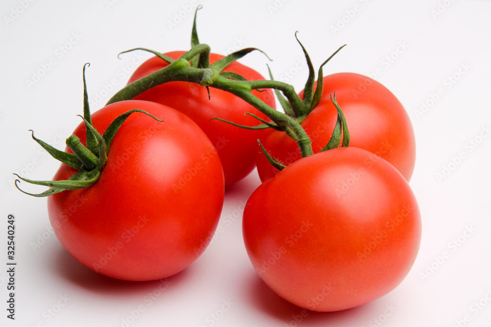 tomato isolated