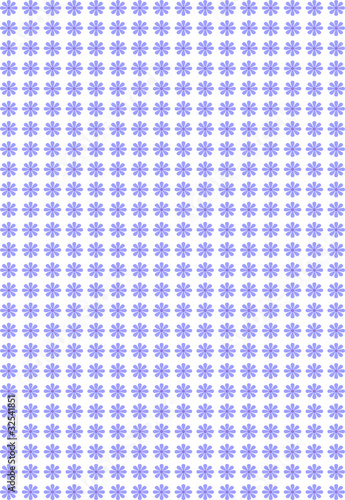 lilac flowers
