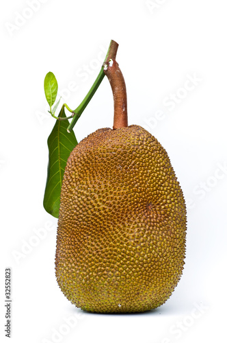 jack fruit on white background