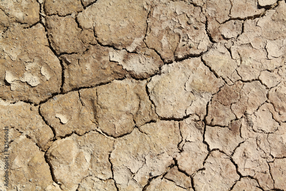 Global warming - cracked soil Global warming - cracked soil
