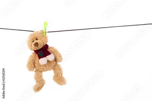 teddy leine