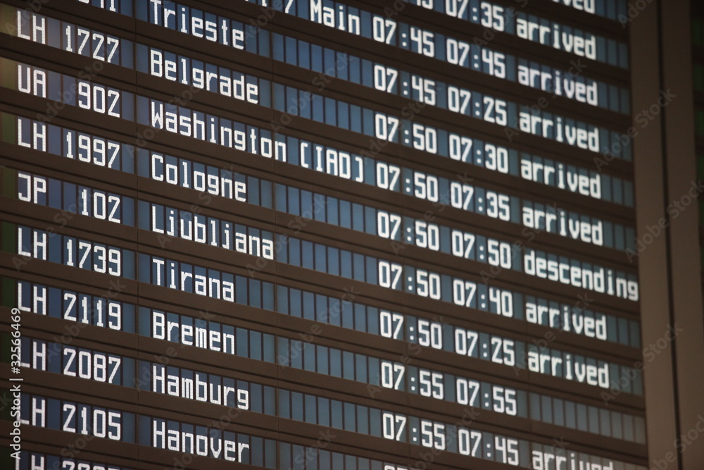 Fototapeta premium Fliegen