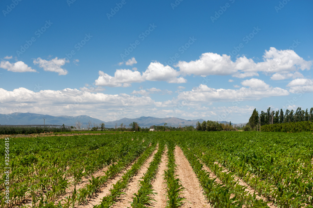 French agriculture landscape
