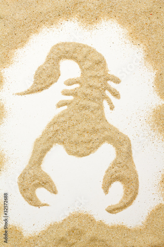 scorpion out of the sand photo