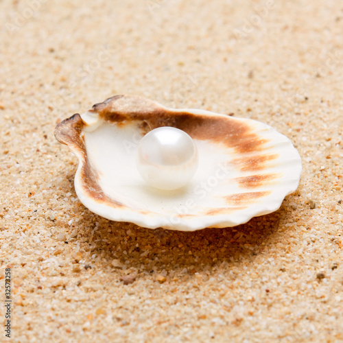 pearl on the seashell