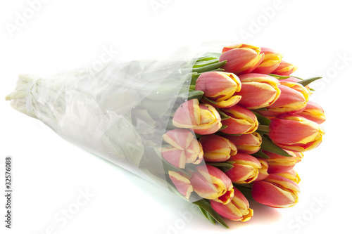 Billede på lærred Tulips from Holland