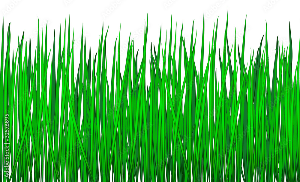 Naklejka premium Grass