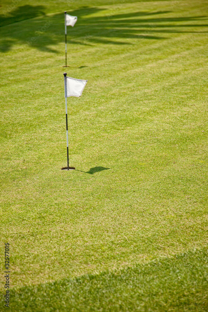 Obraz premium Golf Putting Green and Flag