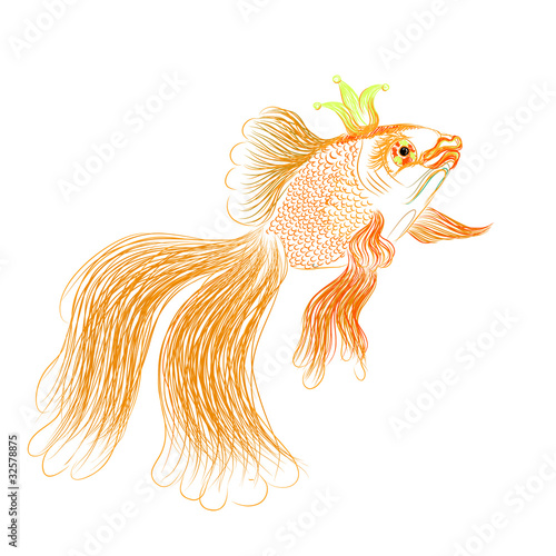 gold fish vector