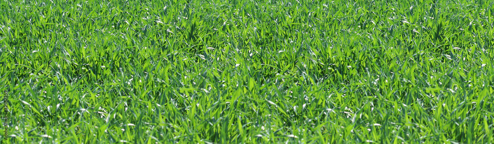 Header - Banner Header - Banner