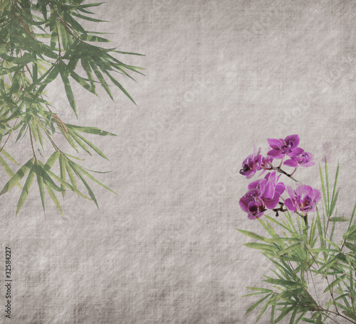 orchids with bamboo leaves on old grunge antique paper texture