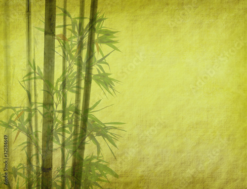 Plakat roślina bambus azja