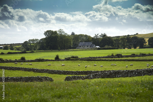 Campagna Irlandese