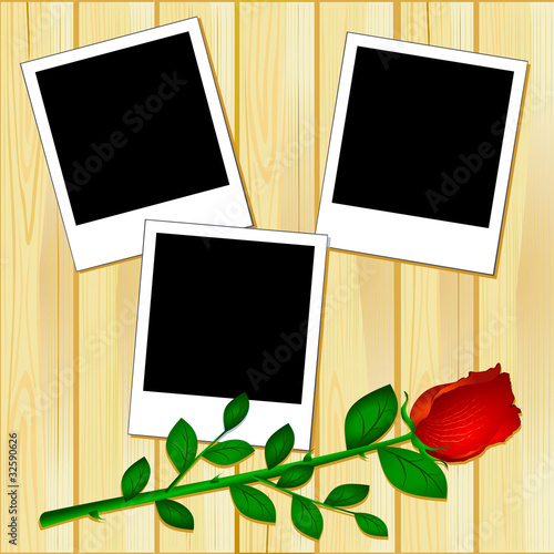 Photographs on wood with rose