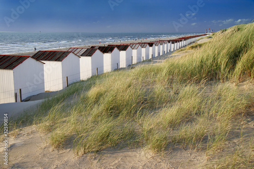 strand