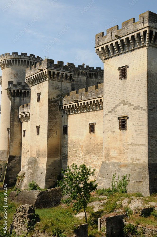 château de Tarascon en Provence