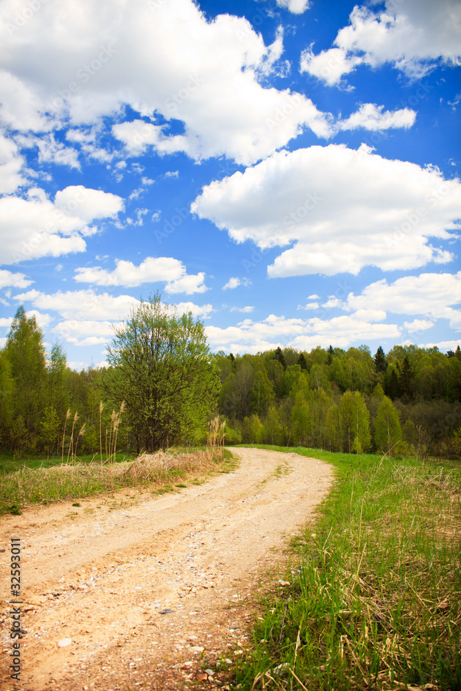 Fototapeta premium Country road under blue sky with white clouds, vertical shot