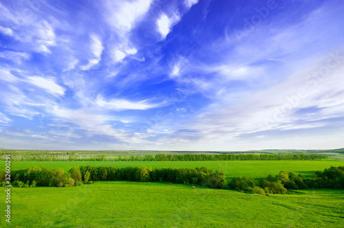 Spring sunny day landscape