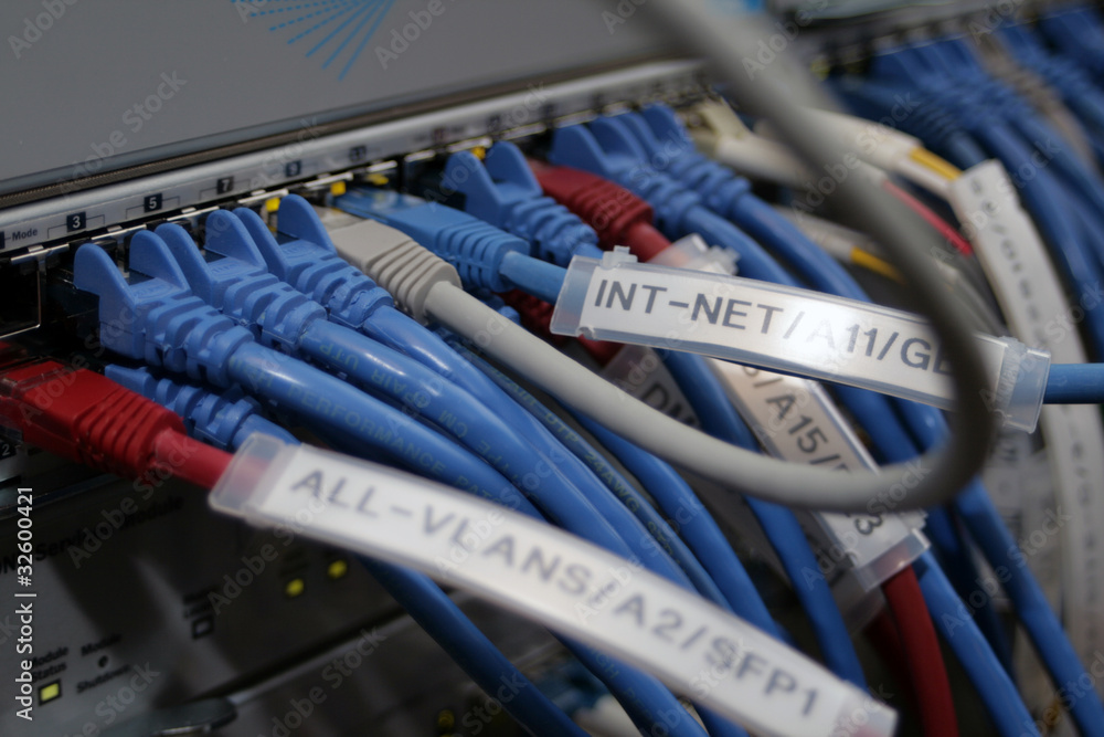 Ethernet cbles connected to a switch Ethernet cbles connected to a switch