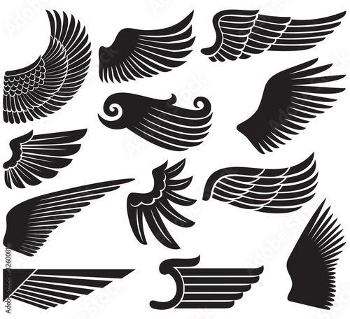wings collection