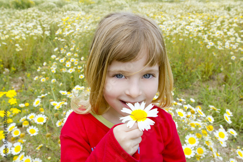 blond little girl smeling daisy spring flower meadow photo