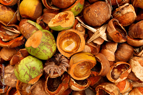 Detail of coconuts