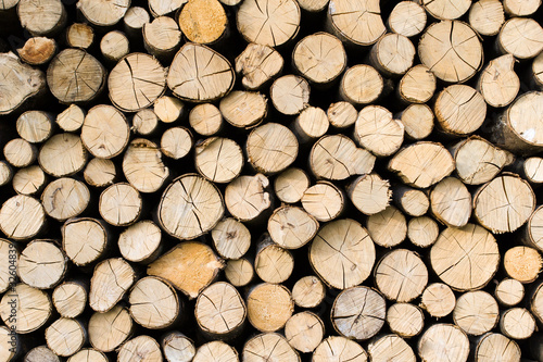 Deatil of pile of wooden logs
