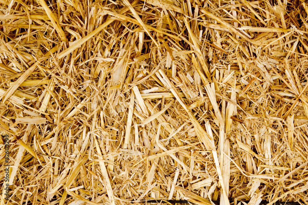bale golden straw texture ruminants animal food bale golden straw texture ruminants animal food