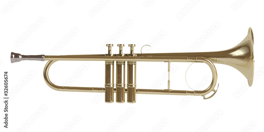 Fototapeta premium Trumpet