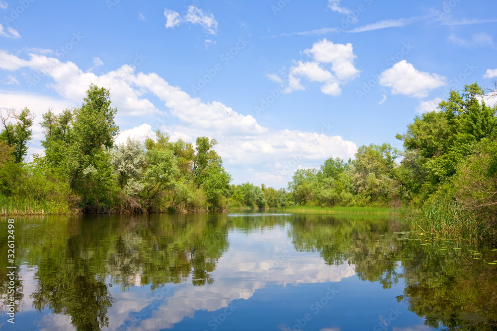 Nice summer scene on river