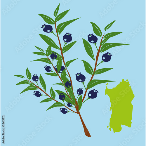 mirto