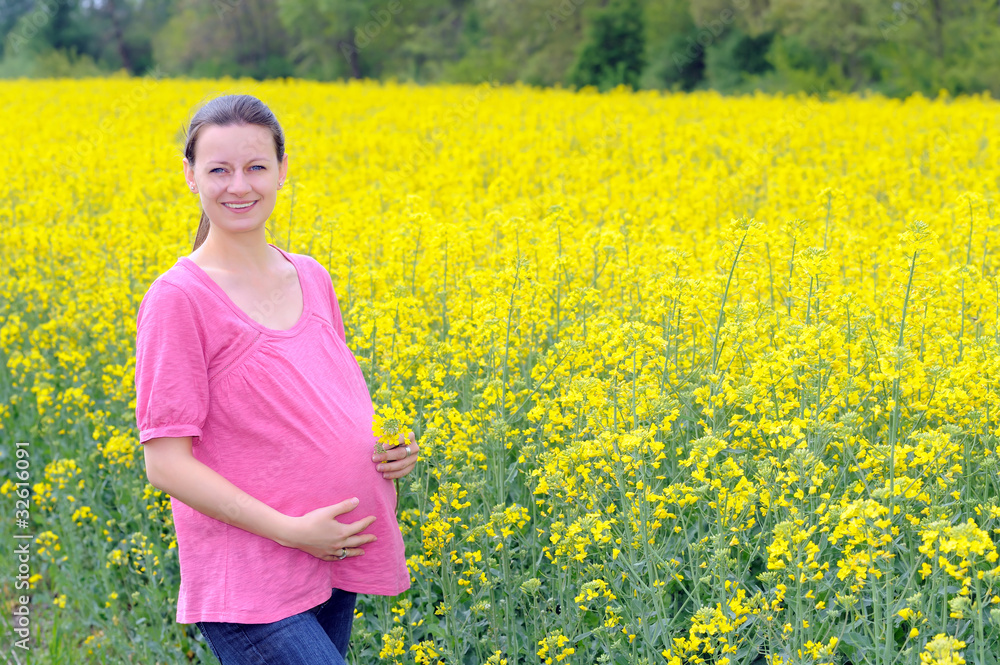 Young attractive pregnant woman Young attractive pregnant woman