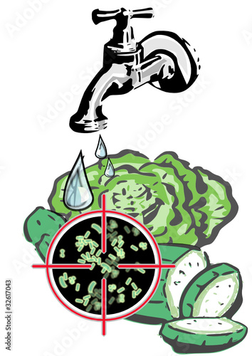 gemüse waschen