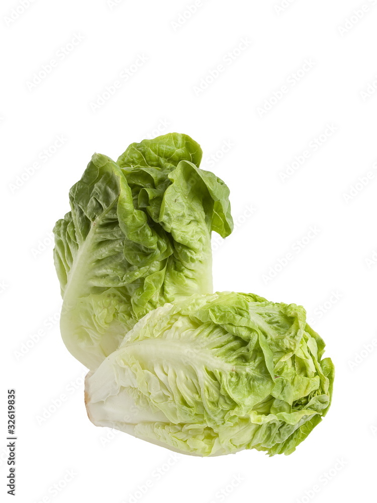 Salade cœur de sucrine Salade cœur de sucrine