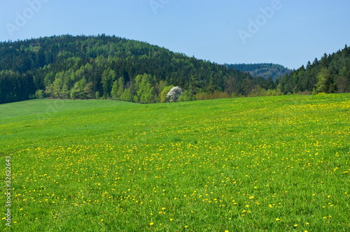 Spring scene with forest and hills