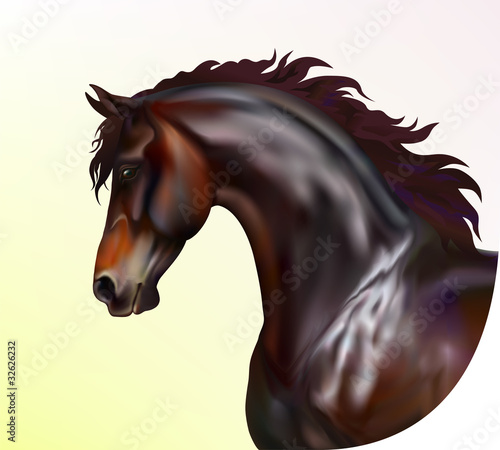Vector photo realistic horse portrait