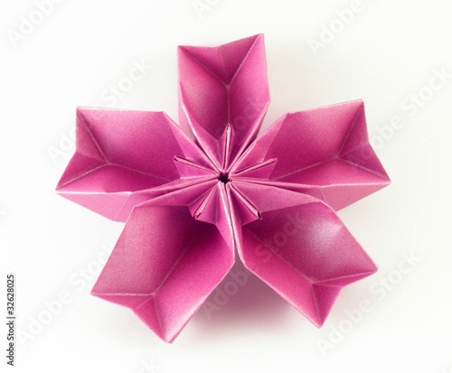 Flor 3